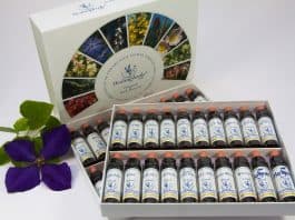 Bach-Blütentherapie Bachblüten Therapie Alternativ