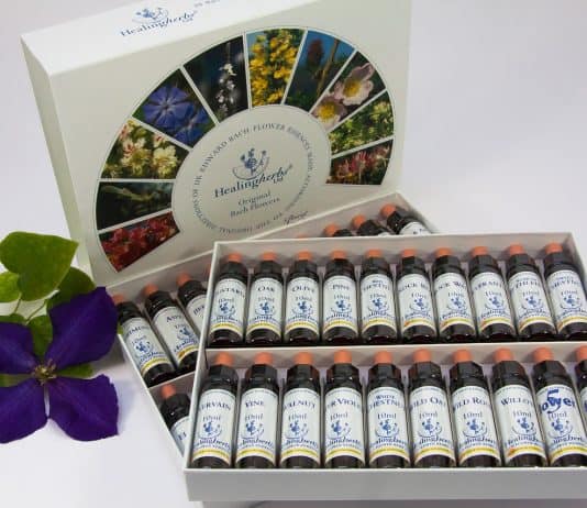 Die von Dr. Bach beschriebenen Bachblütenarten Bach-Blütentherapie Bachblüten Therapie Alternativ