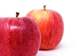 Apfel Frucht Obst Rote Äpfel Früchte Äpfel