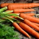 Möhren Karotten Gemüse Ernte Gesund Rote Möhren