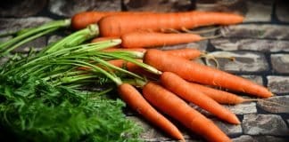 Möhren Karotten Gemüse Ernte Gesund Rote Möhren