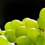 Trauben Früchte Gesund Weintrauben Frucht