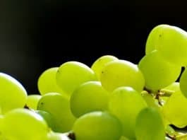 Mit Weintrauben gegen Arthritis Trauben Früchte Gesund Weintrauben Frucht