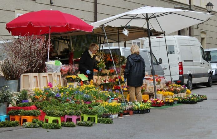 Markt Markttag Blumenstand Marktschirme Verkauf