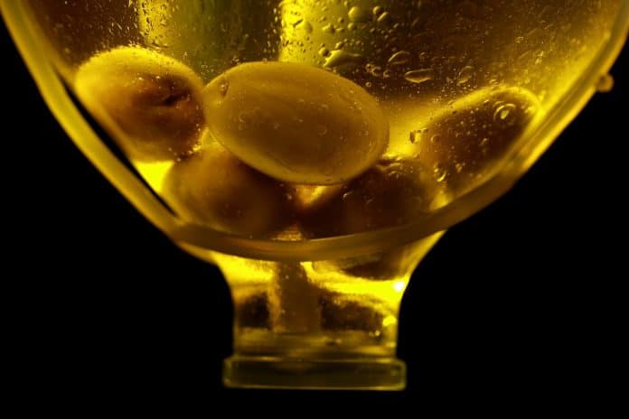 Oliven Flasche Olivenöl Öl Gesundheit Gesund Gelb
