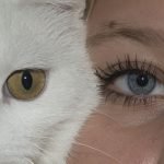 Augen Katze Gesicht Mädchen Menschlichen Katzen