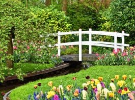 Dein Reich – Dein Recht Holzbrücke Weiße Brücke Brücke Bach Garten