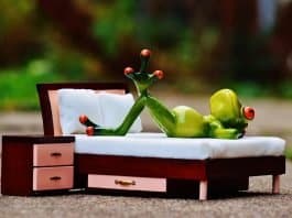 Frosch Verliebt Gedanken Bett Figur Lustig