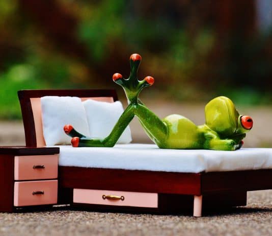 Die Insel der Träume – das Kinderbett Frosch Verliebt Gedanken Bett Figur Lustig