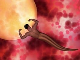 Der Traum vom Vatersein Sperma Spermien Mann Nackt Erde Globus Eizelle