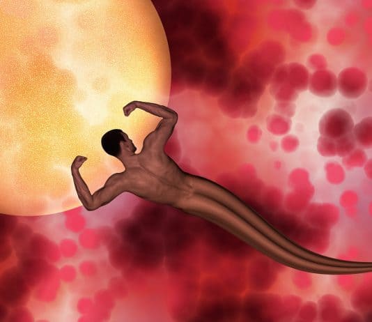 Der Traum vom Vatersein Sperma Spermien Mann Nackt Erde Globus Eizelle