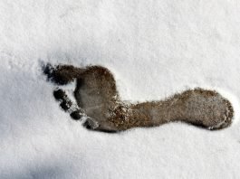 Fußabdruck Nackten Fuß Fuß Gliederung Schnee Kälte