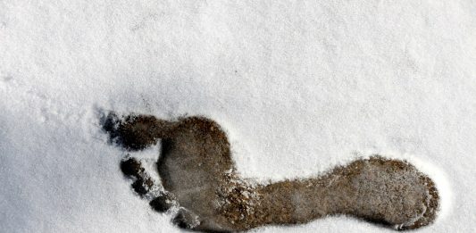 Fußabdruck Nackten Fuß Fuß Gliederung Schnee Kälte