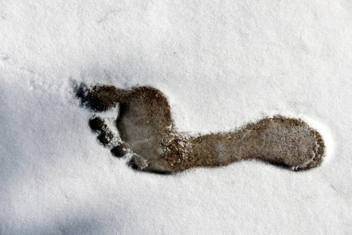 Fußabdruck Nackten Fuß Fuß Gliederung Schnee Kälte