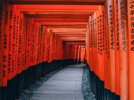 Architektur Japan Kyoto Pfad Shinto Tempel Rot