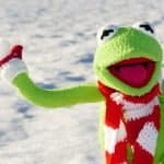 Kermit Frosch Schneeball Werfen Schnee Winter
