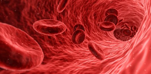 Blut Zellen Rot Medizinische Medizin Anatomie