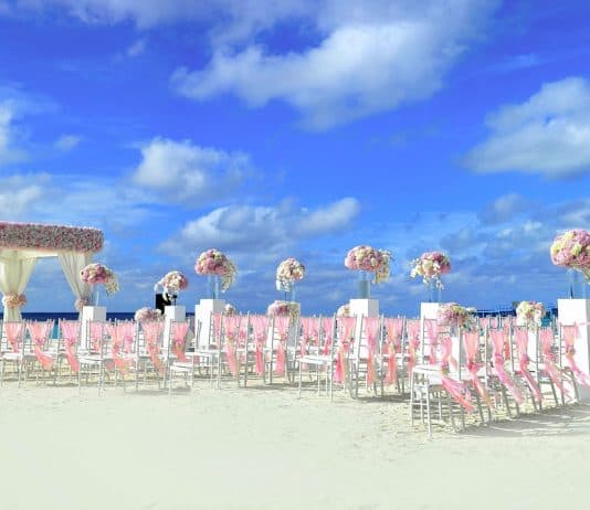 atoll dekor dekorationen ziel blumenhändler blumen