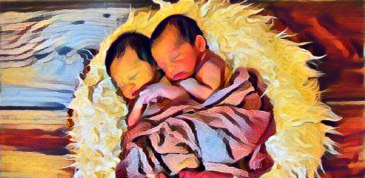 Zwillinge Jungen Babys Säuglinge Neugeborene