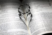 Ein Buch, das berührt und therapiert? Liebe Gestorben Kreuz Dornen Krone Herz Bibel