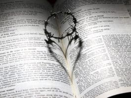 Liebe Gestorben Kreuz Dornen Krone Herz Bibel