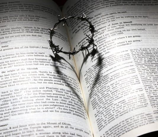 Ein Buch, das berührt und therapiert? Liebe Gestorben Kreuz Dornen Krone Herz Bibel