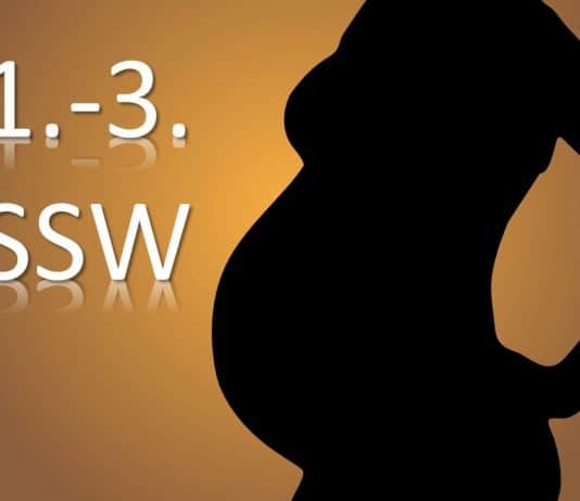 schwangerschaft schwangere mutter Kind SSW Schwangerschaftswoche