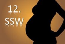 12. SSW – 12. Schwangerschaftswoche schwangerschaft schwangere mutter Kind SSW Schwangerschaftswoche