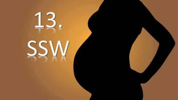 schwangerschaft schwangere mutter Kind SSW Schwangerschaftswoche