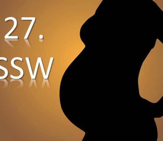 27. SSW (Schwangerschaftswoche) schwangerschaft schwangere mutter Kind SSW Schwangerschaftswoche