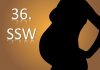 36. SSW – 36. Schwangerschaftswoche schwangerschaft schwangere mutter Kind SSW Schwangerschaftswoche