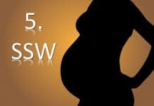 5. SSW – 5. Schwangerschaftswoche schwangerschaft schwangere mutter Kind SSW Schwangerschaftswoche