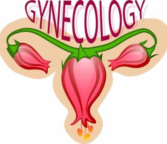 Gebärmutter-Transplantation verhilft zum Babyglück Gynäkologie Blume Die Gebärmutter Die Eierstöcke