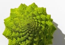 Eltern wegen veganer Ernährung des Kindes verurteilt