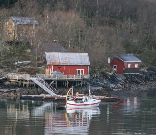 Norwegen Küstenlinie Wasser Reflexion Rotes Haus