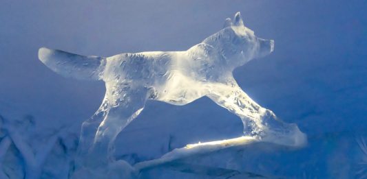 Snow Eis Bar Eisskulpturen Kirkenes Norwegen Berge