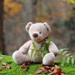 teddybär bär kuscheltier kinderspielzeug wald