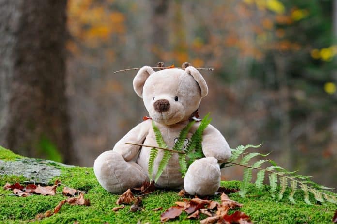 teddybär bär kuscheltier kinderspielzeug wald