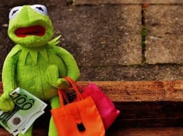 Einkaufen Shoppen Shopping Kermit Geld Euro