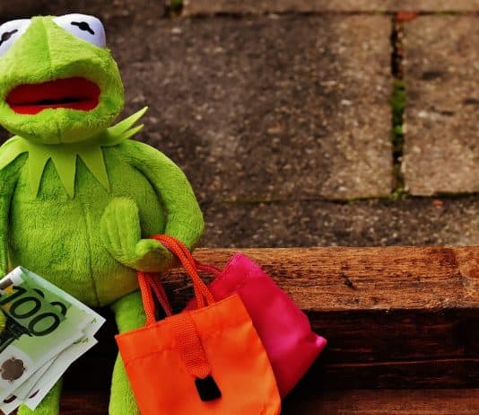 Einkaufen Shoppen Shopping Kermit Geld Euro