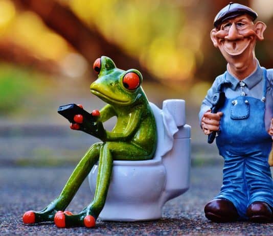 Klempner Frosch Klo Pömpel Reparieren Sitzung