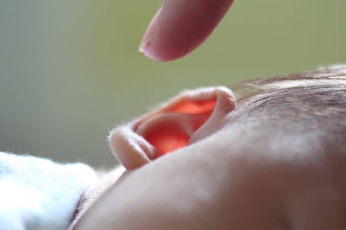 ohren ohr ohrläppchen ton hören anatomie jung