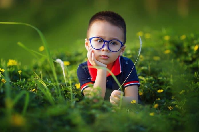 Kinder Junge Gläser Brillen Niedlich Im Freien