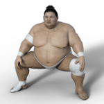 sumoringer athlet ringer sport übergewicht sumo