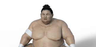 sumoringer athlet ringer sport übergewicht sumo