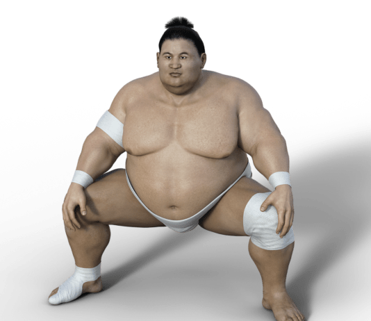 sumoringer athlet ringer sport übergewicht sumo