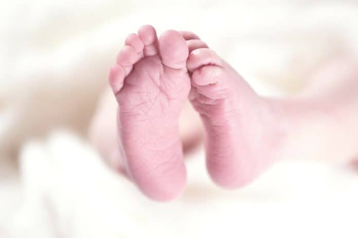 Baby Zehen Klein Neugeborenes Füße Kind