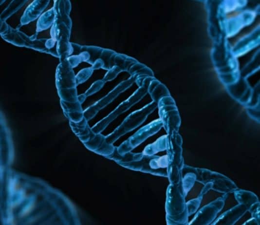 Dna Biologie Medizin Gen Mikrobiologie Analyse