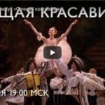 Mariinsky Theater Moskau – Ballet: Sleeping Beauty – «Спящая красавица» – Spyashchaya krasavitsa – Dornröschen
