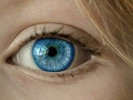 Auge Blaue Augen Iris Pupille Gesicht Nahaufnahme